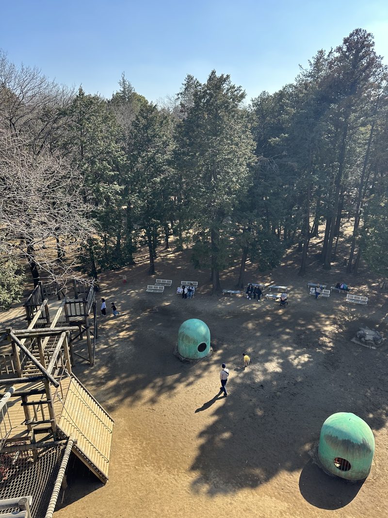 茨城県古河市ネーブルパークの遊具広場を見下ろした風景