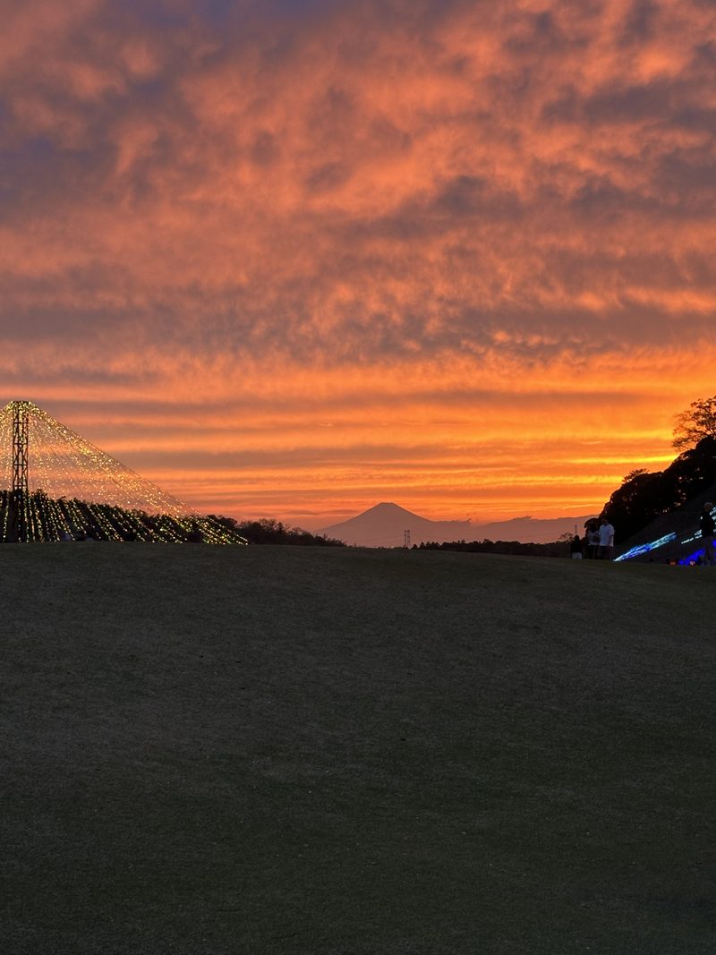 東京ドイツ村から見た夕焼けと富士山のシルエット