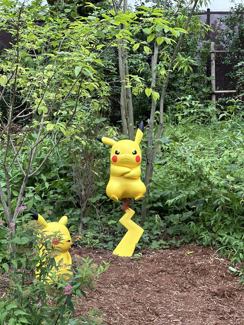 ポケパーク カントーのポケモンフォレストの木々の間のピカチュウ