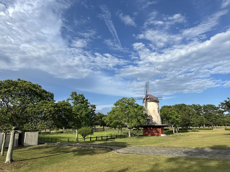 遠州灘海浜公園の芝生広場とオランダ風の風車
